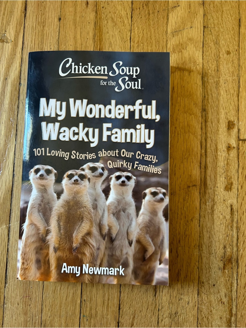 Chicken Soup My Wonderful, Wacky Family - Paperback by Amy Newmark (Brown Cover)